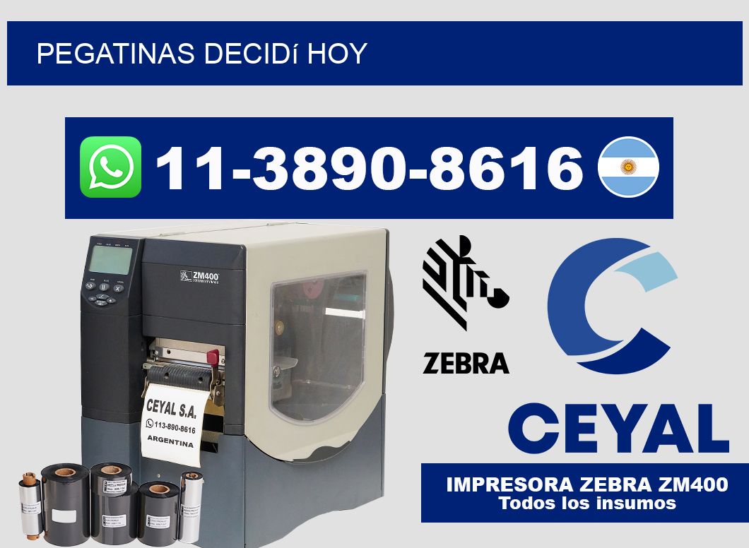 PEGATINAS Decidí hoy