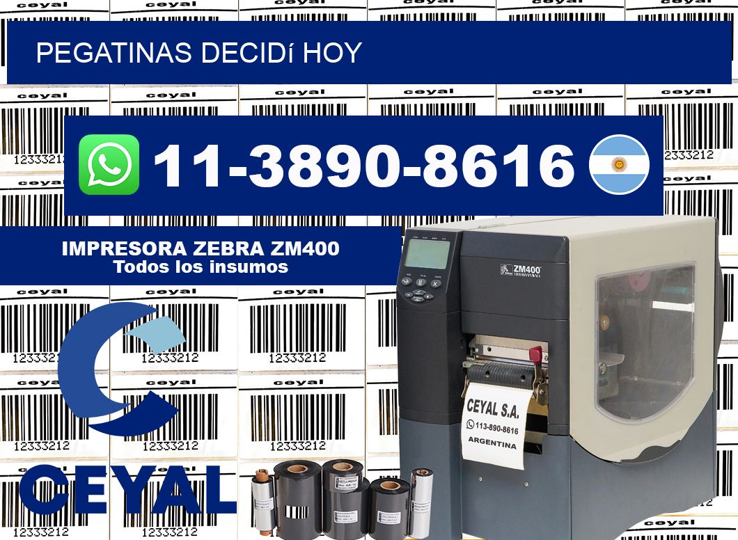PEGATINAS Decidí hoy