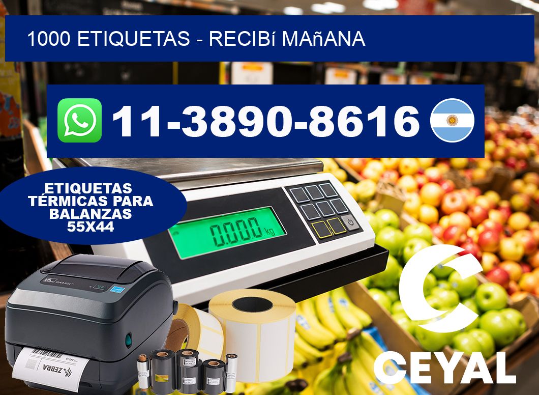 1000 ETIQUETAS - recibí mañana