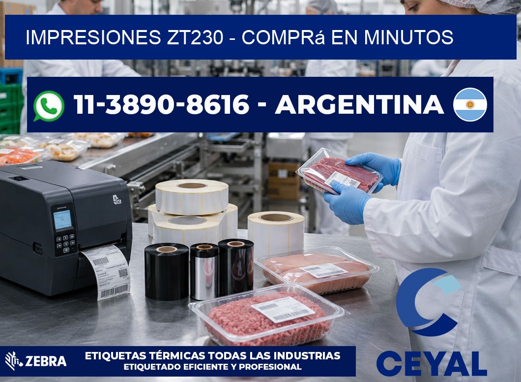 Impresiones ZT230 - Comprá en minutos