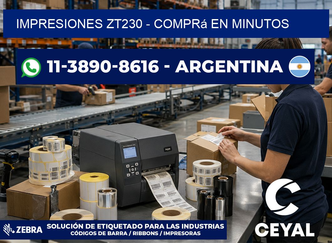 Impresiones ZT230 – Comprá en minutos