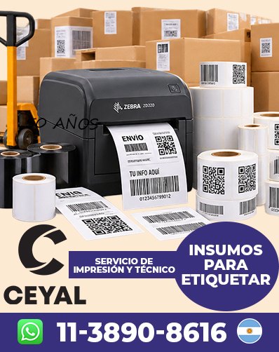 COMO UTILIZAR IMPRESORA GK420T - Consultá para tu local
